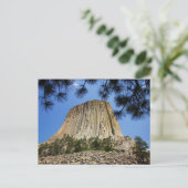 Carte Postale Devil's Tower, Devil's Tower National Monument, WY (Debout devant)