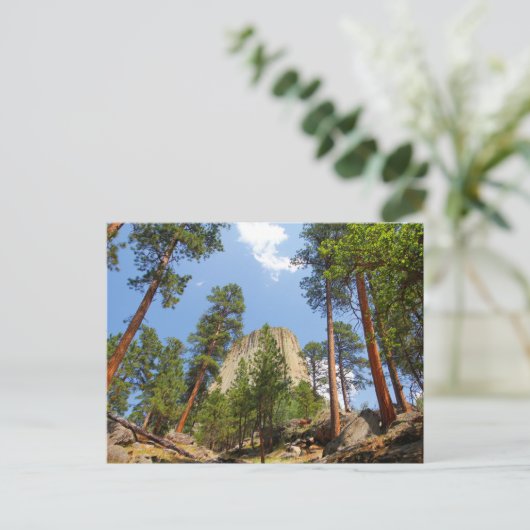 Carte Postale Devil's Tower, Devil's Tower National Monument, WY (Debout devant)
