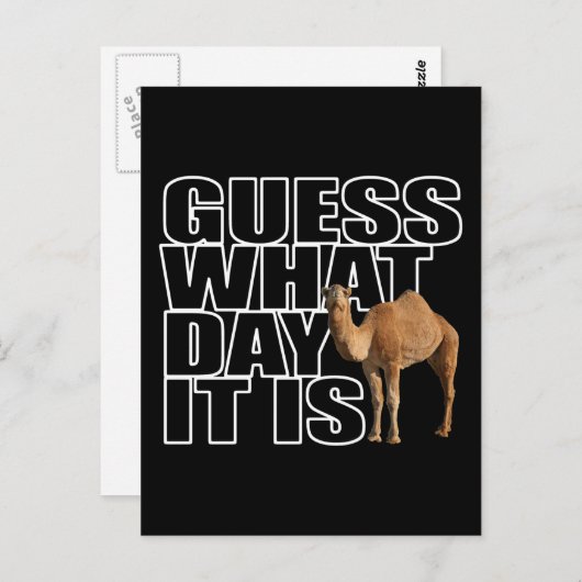 Carte Postale Devinez Quel Jour C'Est Hump Day Camel (Devant / Derrière)
