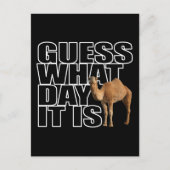 Carte Postale Devinez Quel Jour C'Est Hump Day Camel (Devant)