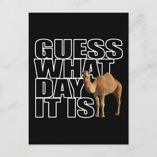 Carte Postale Devinez Quel Jour C'Est Hump Day Camel (Devant)