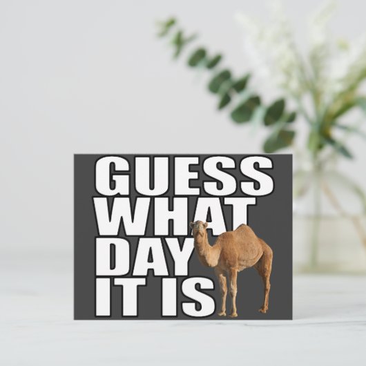 Carte Postale Devinez Quel Jour C'Est Hump Day Camel (Debout devant)