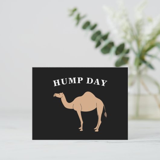 Carte Postale Devinez Quel Jour C'Est Hump Day Camel Desert Anim (Debout devant)