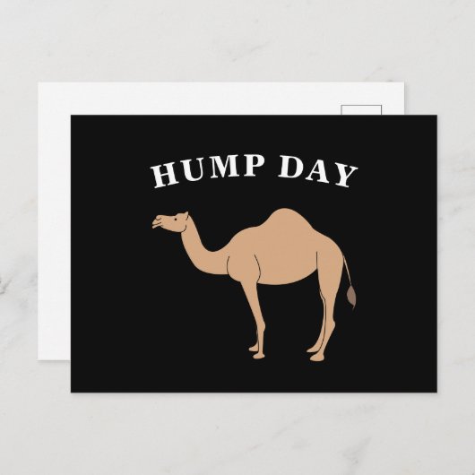 Carte Postale Devinez Quel Jour C'Est Hump Day Camel Desert Anim (Devant / Derrière)