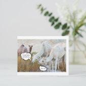 Carte Postale Devinez quel jour il est (Debout devant)