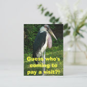 Carte Postale Devinez qui vient rendre visite ? ! (Debout devant)