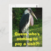 Carte Postale Devinez qui vient rendre visite ? ! (Devant / Derrière)