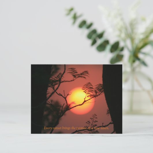Carte Postale Devis Inspiration Sunset (Debout devant)