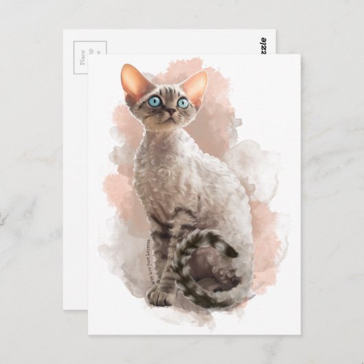 Carte Postale Devon Rex Sofi (Devant / Derrière)
