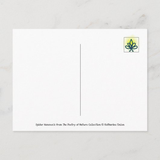 Carte Postale Dew Drop Water Hammock Spider Web (Dos)