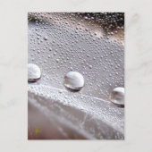 Carte Postale Dew Drops sur Spider Web Galaxy Nature (Devant)