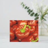 CARTE POSTALE DH000181 (Debout devant)