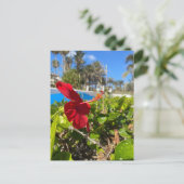 Carte postale d'Hibiscus (Debout devant)