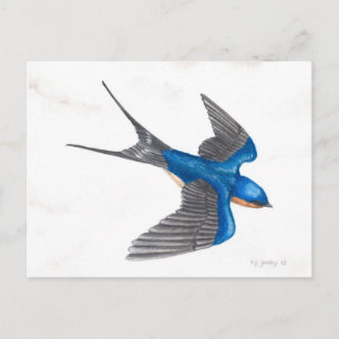 Carte postale d'Hirondelle de cheminée