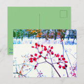 CARTE POSTALE D'HIVER AUX BAIES ROUGES (Devant / Derrière)