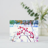 CARTE POSTALE D'HIVER BAIES ROUGES (Debout devant)