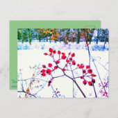 CARTE POSTALE D'HIVER BAIES ROUGES (Devant / Derrière)