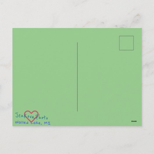 CARTE POSTALE D'HIVER BAIES ROUGES (Dos)