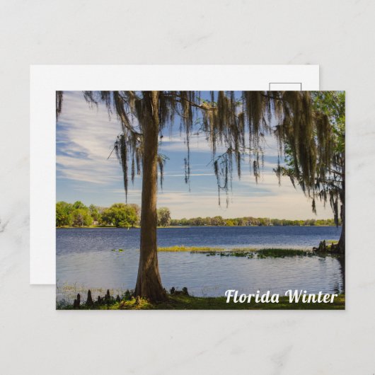 Carte postale d'hiver de Floride (Devant / Derrière)