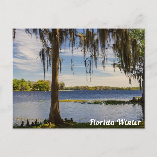 Carte postale d'hiver de Floride (Devant)