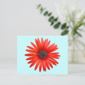 Carte Postale Diable Rouge (Debout devant)