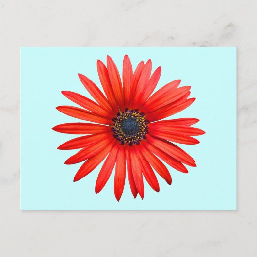 Carte Postale Diable Rouge (Devant)