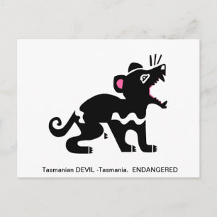 Carte Postale DIABLE Tasmanien - Faune -Marsupial -Nature