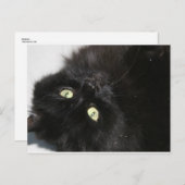 Carte Postale Diabola Le chat du diable (Devant / Derrière)