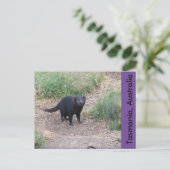 Carte postale diabolique de Tasmanie (Debout devant)