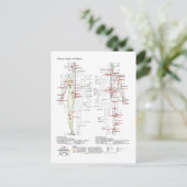 Carte Postale  Diagram Schematic Chinese Meridians Human Body  (Debout devant)