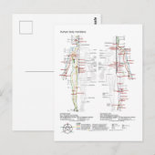 Carte Postale  Diagram Schematic Chinese Meridians Human Body  (Devant / Derrière)
