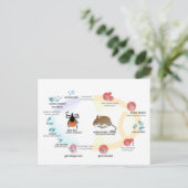 Carte postale Diagramme Babesia microti cycle de v (Debout devant)