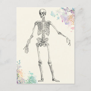 Carte Postale diagramme de fleur squelette de l'anatomie médical