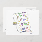 Carte postale Diagramme de la structure chimique d (Devant / Derrière)