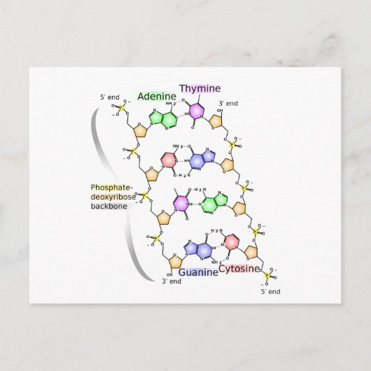 Carte postale Diagramme de la structure chimique d (Devant)