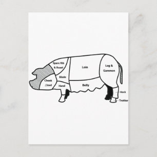 Carte Postale Diagramme de porc