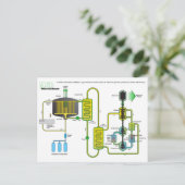 Carte Postale Diagramme d'un réacteur à fission nucléaire de sel (Debout devant)