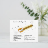Carte Postale Diagramme d'une cigarette du tabac Fumer (Debout devant)
