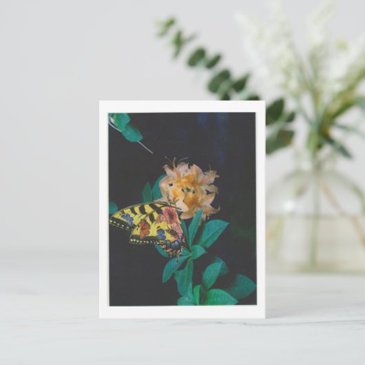 Carte Postale Dibble_Artworks_124_Papillon (Debout devant)