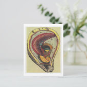 Carte Postale Dibble_Artworks_140_Oysters (Debout devant)