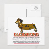 Carte Postale Dictionnaire Dachshund (Devant / Derrière)