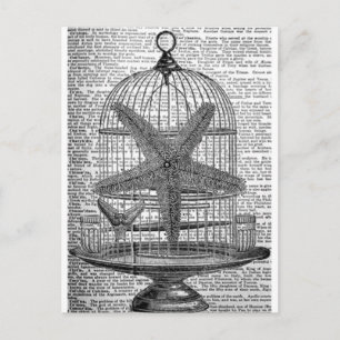 Carte Postale dictionnaire de plage imprimer steampunk Birdcage 