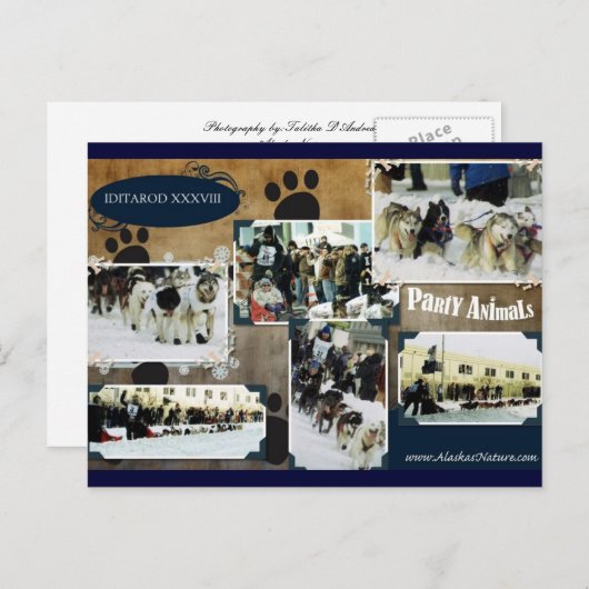 Carte postale d'Iditarod (Devant / Derrière)