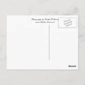 Carte postale d'Iditarod (Dos)