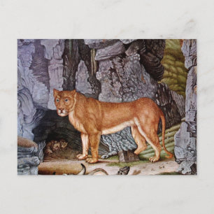 Carte Postale Die Löwin ou The Lioness (1832)