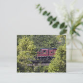 Carte Postale Diesel 2198 sur tréteau (Debout devant)