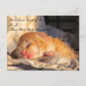 Carte postale - Dieu nous aime avec Kitten (Devant)