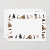 Carte Postale Différents chiens se reproduisent de suite (Devant / Derrière)