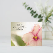 Carte Postale Diffuser les violettes (Debout devant)