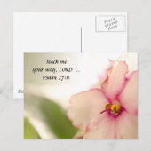 Carte Postale Diffuser les violettes (Devant / Derrière)